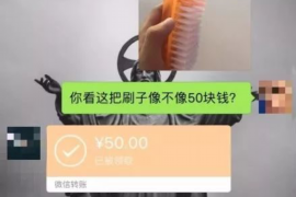 盐津要账公司更多成功案例详情